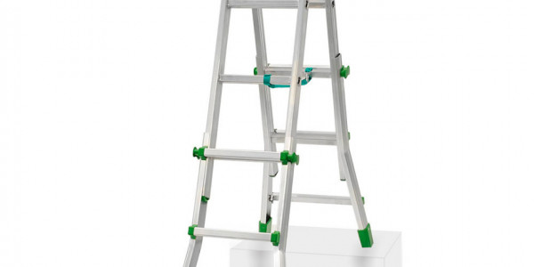 MULTI-PURPOSE LADDER