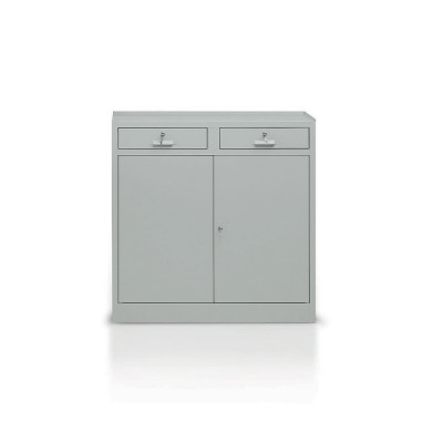 E376 Hinged doors cabinet with 2 shelves and 2 drawers mm. 1000Lx400Dx1000H. Grey.