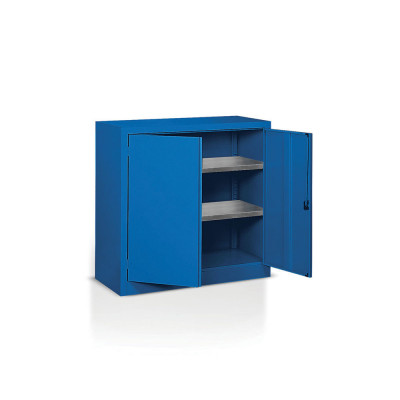 E1020B Hinged doors cabinet and 2 shelves mm. 1000Lx500Dx1000H. Blue.