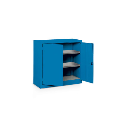 Armadio mm 1000x500x1000h. Blu