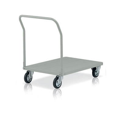 Trolley with removable handle mm. 1035Lx600Dx210/880H. Grey.