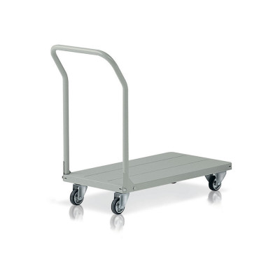 Trolley with removable handle mm. 905Lx450Dx140/810H. Grey.